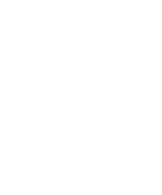 Outlaw The Artist